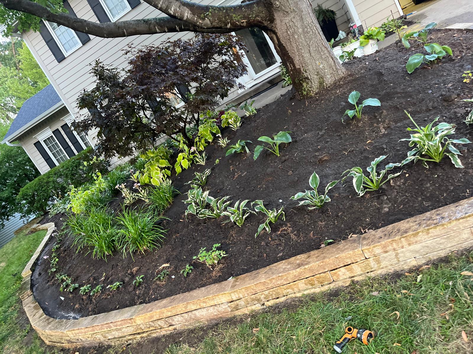 mulch and edging